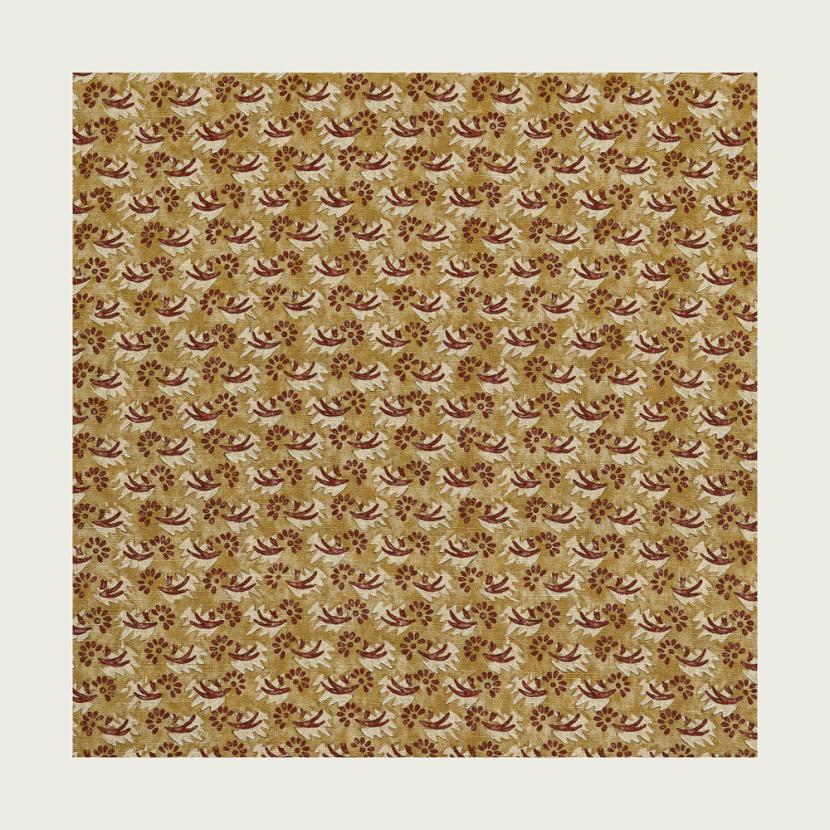 ZOA - 02