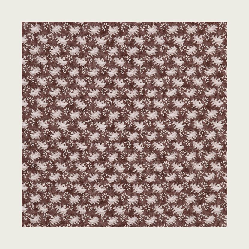 ZOA - 04